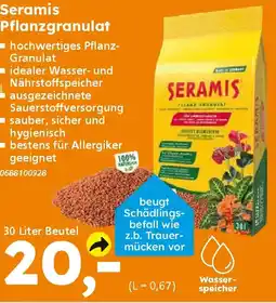 Globus Baumarkt Seramis Pflanzgranulat Angebot