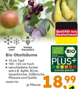 Globus Baumarkt Bio Obstbäume Angebot