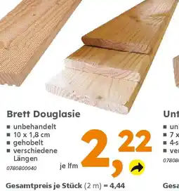 Globus Baumarkt Brett Douglasie Angebot