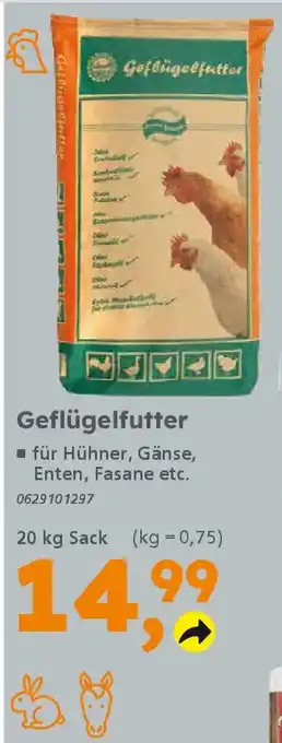 Globus Baumarkt Geflügelfutter Angebot