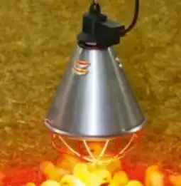 BayWa Infrarot Wärmestrahlgerät Angebot