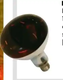 BayWa Infrarot-Leuchtmittel Angebot