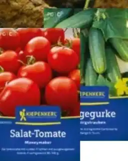 BayWa Saatgut Angebot