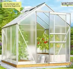 BayWa Wingart Gewächshaus Linda Angebot