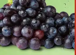 PENNY Tafeltrauben Angebot