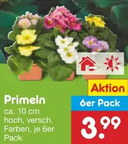 Netto Marken-Discount Primeln Angebot