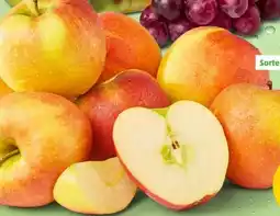 PENNY Marktliebe Äpfel Angebot