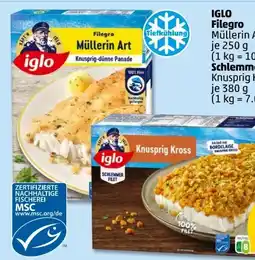 PENNY Iglo Filegro Müllerin Art Angebot