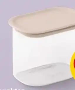 PENNY Brabantia Stapelbarer Angebot