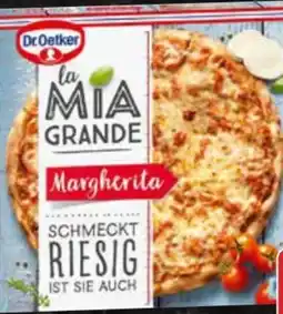 AEZ Dr. Oetker Pizza La Mia Grande Angebot