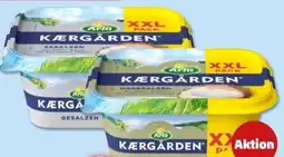 PENNY Arla Kaergarden XXL Angebot
