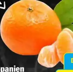AEZ Saftmandarinen Angebot