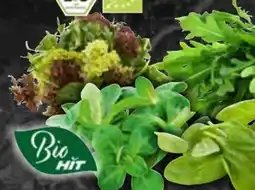 AEZ Bio HIT Rucola Angebot