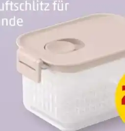 PENNY Brabantia Kühlschrank Frischhalteboxen Angebot