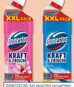 PENNY Domestos WC Gel XXL Angebot