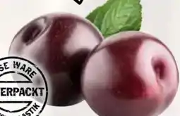 AEZ Pflaumen Angebot