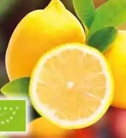 Edeka Bio-Zitronen Angebot