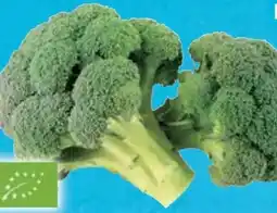 E-Center Bio Brokkoli Angebot