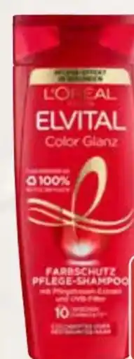 AEZ L'Oréal Paris Elvital Shampoo Angebot