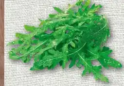 nahkauf Rucola Angebot