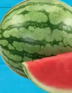 E-Center Mini-Wassermelone Angebot