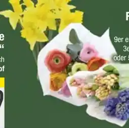 E-Center Frühlingshafter Schnitt Angebot