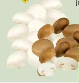 Edeka Xpress Champignons Angebot