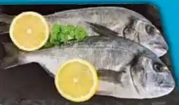 E-Center Dorade Royale Angebot