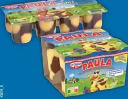 E-Center Dr. Oetker Paula Pudding Angebot
