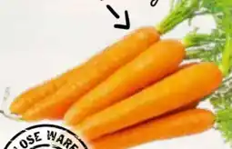 AEZ Bundmöhren Angebot