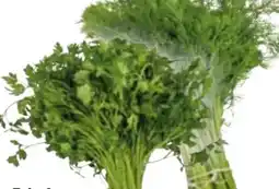 Edeka Schnittkräuter Angebot