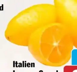 AEZ Lemon Snack Zitronen Angebot