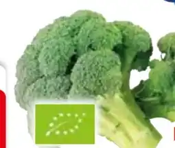 Edeka Bio Brokkoli Angebot