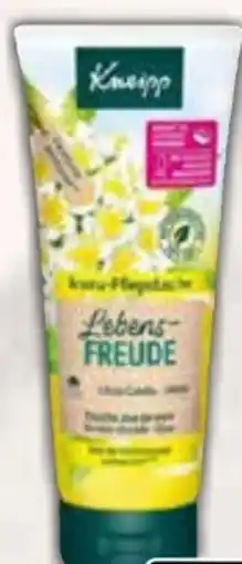 AEZ Kneipp Schaumbad Angebot