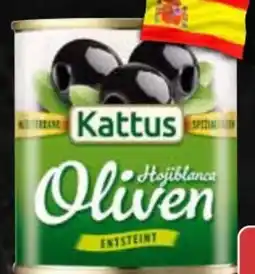 AEZ Kattus Oliven Angebot