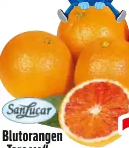 Edeka SanLucar Blutorangen Tarocco Angebot
