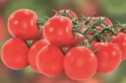 E-Center Rispentomaten Angebot