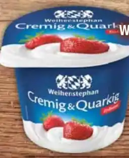 E-Center Weihenstephan Fruchtquark Erdbeere Angebot