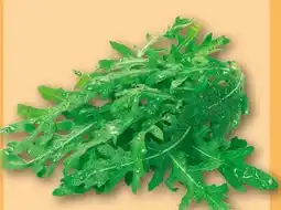 REWE Rucola Angebot