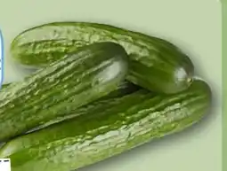 REWE Rewe Regional Mini Gurken Angebot