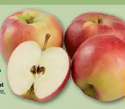 REWE Rewe Bio Tafeläpfel Angebot
