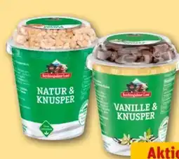 REWE Center Berchtesgadener Land Frucht & Knusper Joghurt Angebot