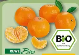 REWE Center Rewe Bio Bio-Mandarinen Angebot