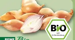 REWE Center Rewe Bio Schalotten Angebot