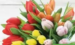 E-Center Tulpen-Strauß Angebot