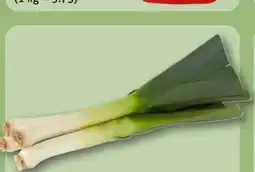 REWE Center Porree Angebot