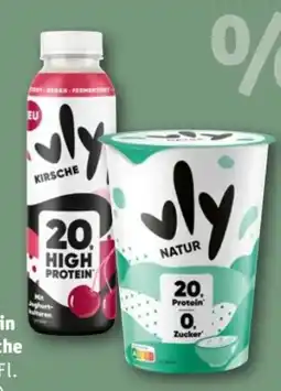 REWE Center Vly High Protein Drink Kirsche Angebot