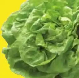 Edeka Kopfsalat Angebot