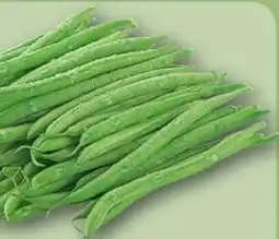 REWE Rewe Beste Wahl Buschbohnen Angebot