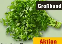 REWE Center Glatte Petersilie Angebot